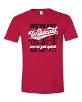 Wildcats PTO Fundraiser - Youth Sizes- Wildcats Spirit Shirt/Sweatshirt/Hoodie